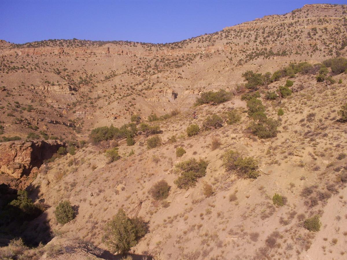 A panoramic view of a dry, rocky landscape featuring rolling hills and sparse vegetation under a clear blue sky. The terrain is characterized by a mix of dirt and rocky surfaces, interspersed with low shrubs and small trees, showcasing the rugged beauty of a desert environment. Palisade Rim mountain bike trail.