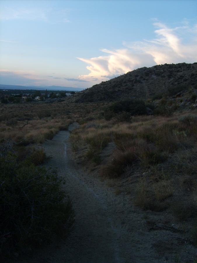 A winding dirt path leads through a grassy landscape toward a low hill, with soft clouds in a twilight sky. The scene captures a tranquil natural setting with sparse vegetation and distant hills on the horizon. Sandia Mountains Foothill Trail mountain bike trail.