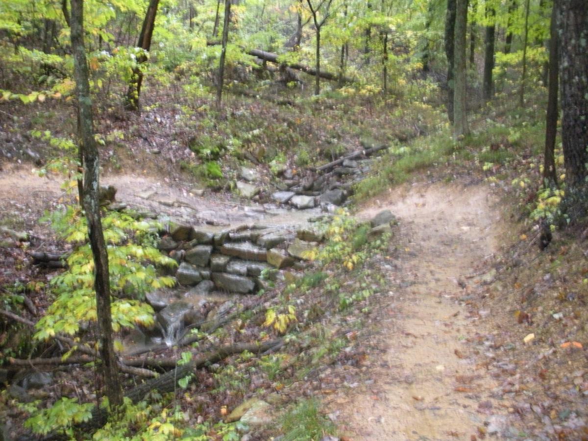 A winding dirt trail surrounded by lush green trees and foliage, leading to a rocky stream bed with small waterfalls. The scene is serene and slightly damp, suggesting recent rain. Moss and fallen leaves add texture to the forest floor. Brown County Park mountain bike trail.