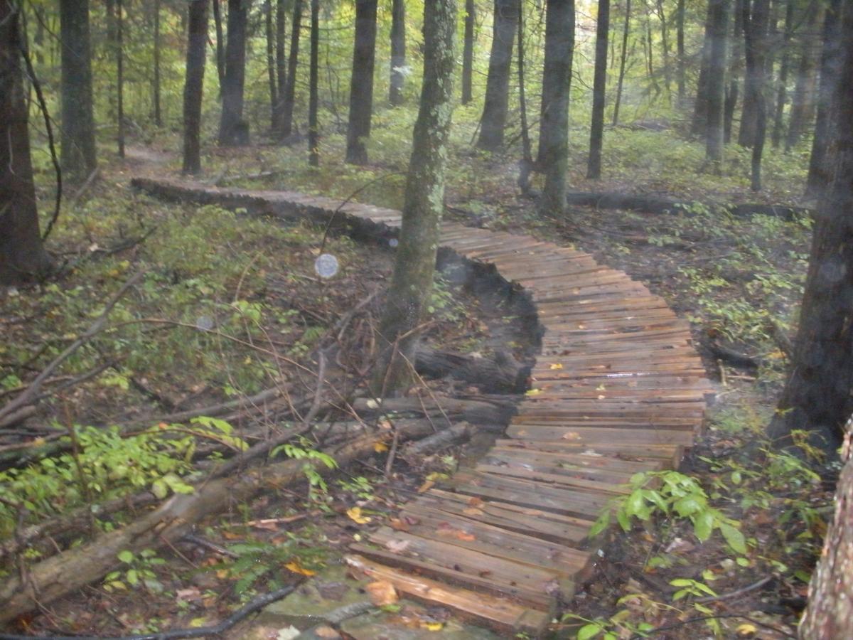 A winding wooden boardwalk through a lush green forest, surrounded by trees and underbrush, with fallen branches and leaves scattered along the ground. The scene is tranquil, capturing the essence of nature in a wooded area. Brown County Park mountain bike trail.