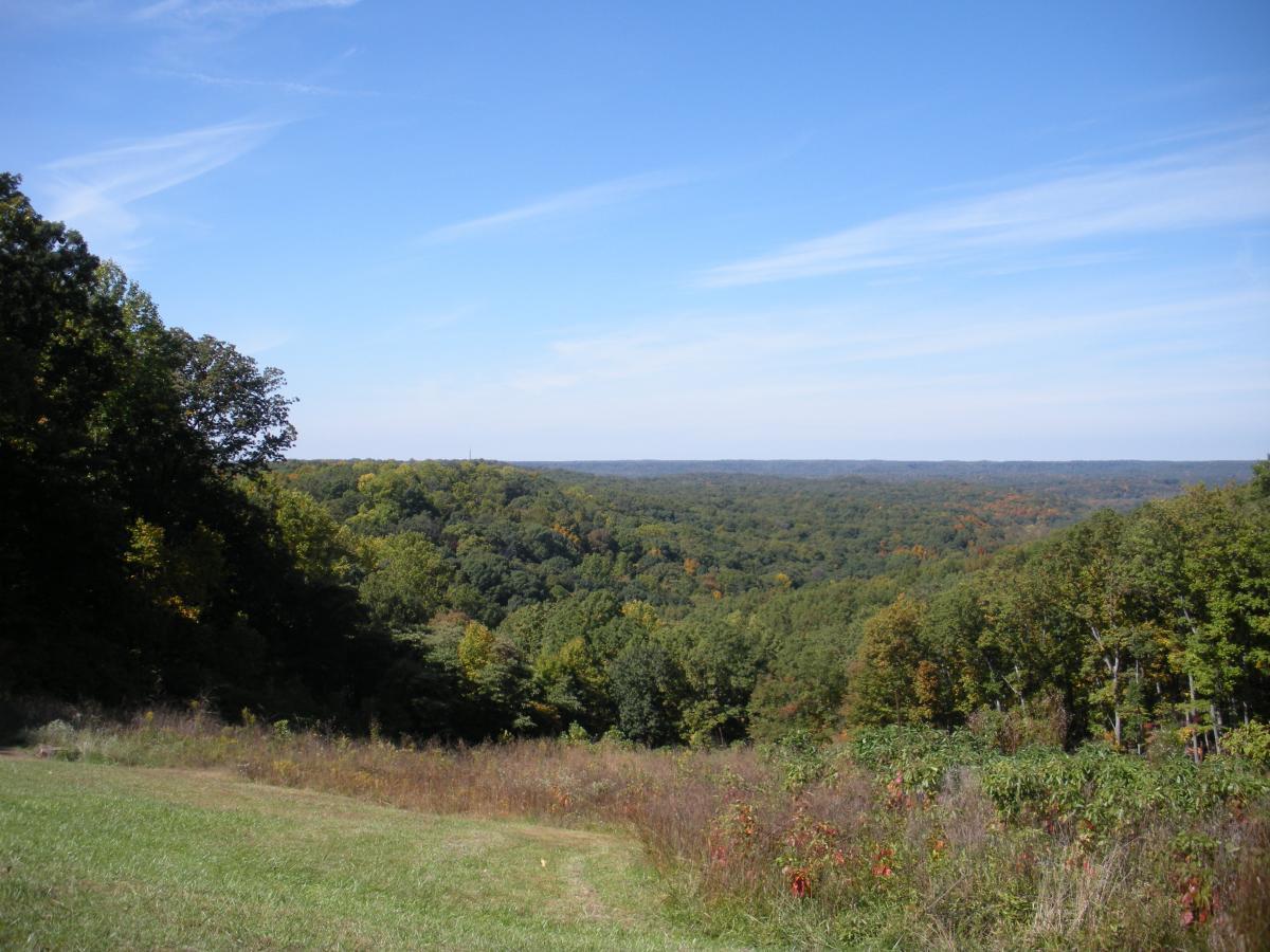 A panoramic view of rolling hills covered in lush greenery, with trees displaying hints of autumn colors under a clear blue sky. The foreground features a grassy area leading to the hills, creating a tranquil natural landscape. Brown County Park mountain bike trail.