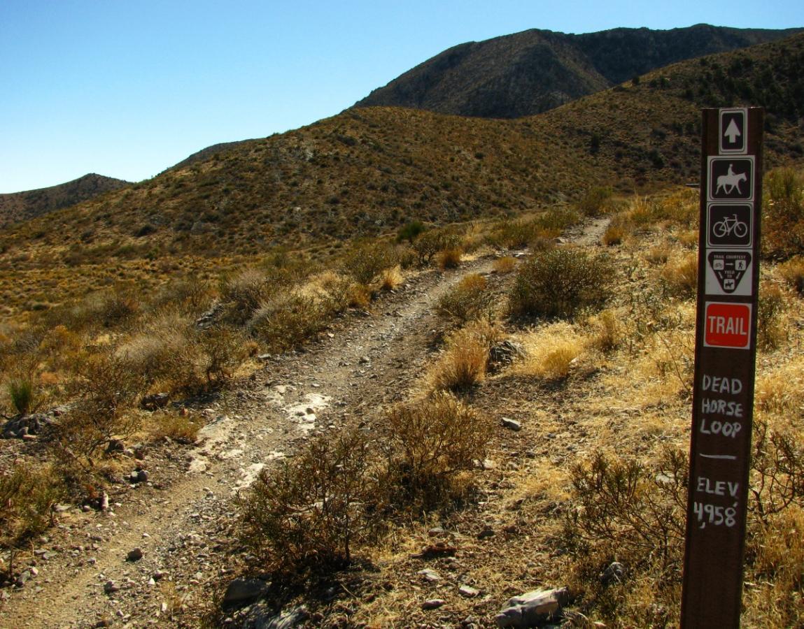 Trail sign marking the Dead Horse Loop, indicating trail directions for hikers, cyclists, and horseback riders. The surrounding landscape features rolling hills with sparse vegetation under a clear blue sky. Elevation is noted at 4958 feet. Deadhorse Loop mountain bike trail.