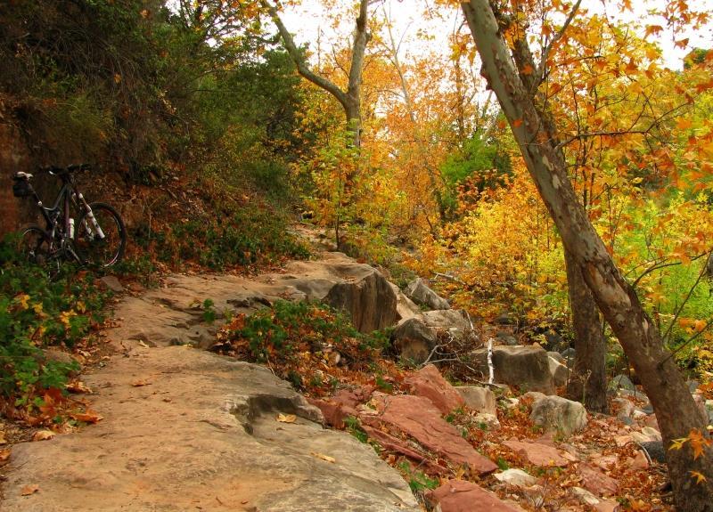 A rocky path surrounded by vibrant autumn foliage, with shades of orange and yellow. A bicycle leans against a rocky outcrop on the left side, inviting outdoor adventure. The scene captures the peacefulness of nature during fall. Huckaby mountain bike trail.