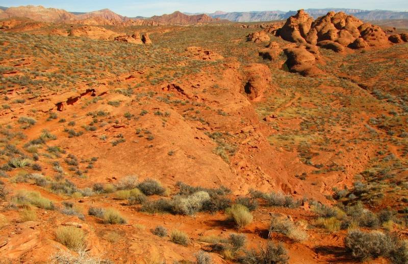 A vast desert landscape featuring reddish-brown rock formations, sparse vegetation, and rolling hills under a clear sky. The terrain is rugged, with visible trails and shading from the uneven ground. Mountains can be seen in the distance, creating a scenic backdrop. Prospector - Church Rocks Loop mountain bike trail.
