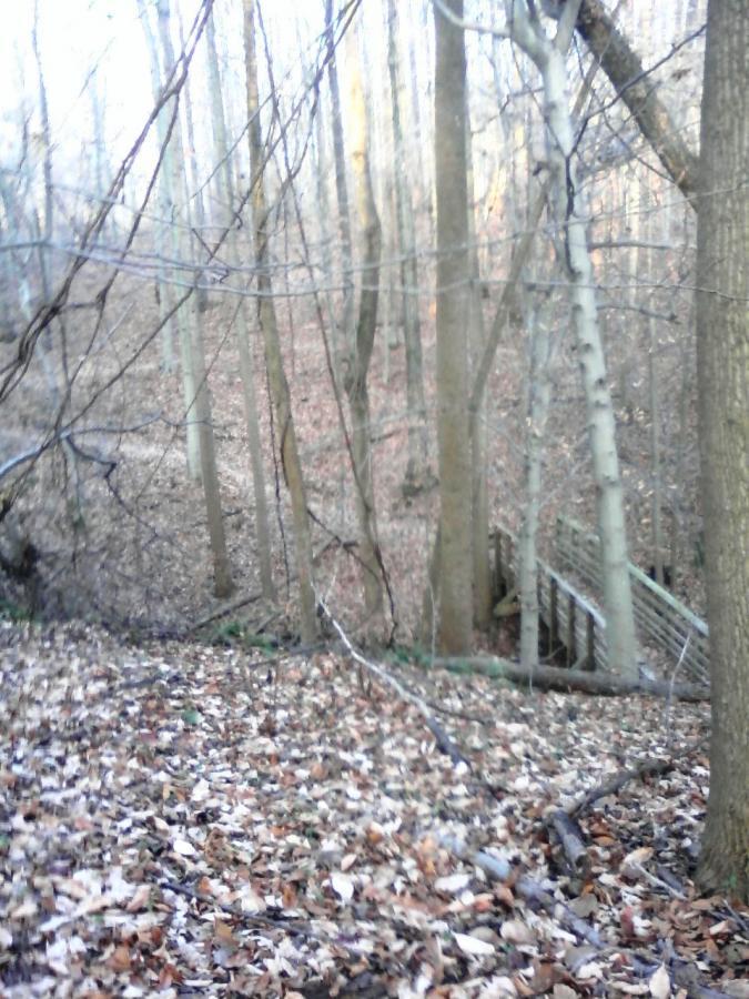 A tranquil woodland scene featuring bare trees with a blend of autumn leaves on the ground. In the background, a gentle slope leads down to a wooden bridge partially visible through the trees, surrounded by a natural, wooded environment. Rosaryville State Park mountain bike trail.