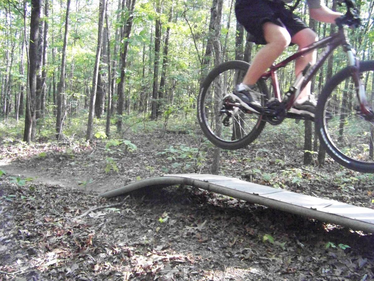 A mountain biker in motion is jumping off a wooden ramp in a forested area, surrounded by tall trees and scattered leaves on the ground. The bike’s wheels are airborne, showcasing the rider's skill and the dynamic action of the jump. Flat Rock Park mountain bike trail.
