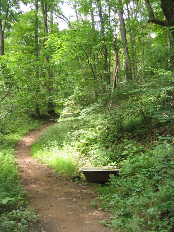 A narrow dirt path winds through a lush, green forest. Tall trees with thick foliage line either side of the trail, creating a serene natural environment. On the right side of the path, an old, rusty bathtub is partially obscured by grass and plants, adding an unexpected element to the tranquil woodland scene. North Park mountain bike trail.