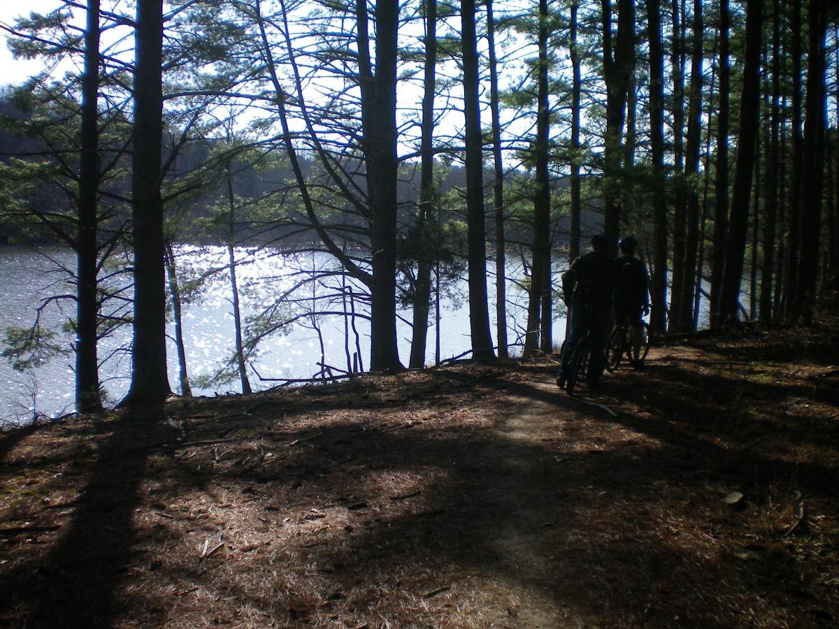 A scenic view of a wooded area along a lake, with sunlight glinting off the water. Two individuals ride bicycles along a dirt path, surrounded by tall pine trees and a soft forest floor. Carvin's Cove Trail system mountain bike trail.