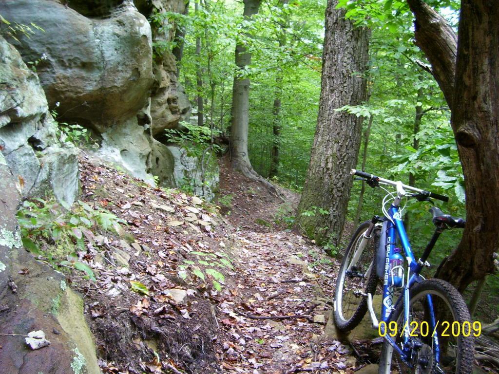 A mountain bike resting on a narrow dirt trail surrounded by lush green trees and rocky terrain. The scene captures a peaceful, wooded environment with fallen leaves and a backdrop of large rock formations. Archers Fork Loop Trail mountain bike trail.