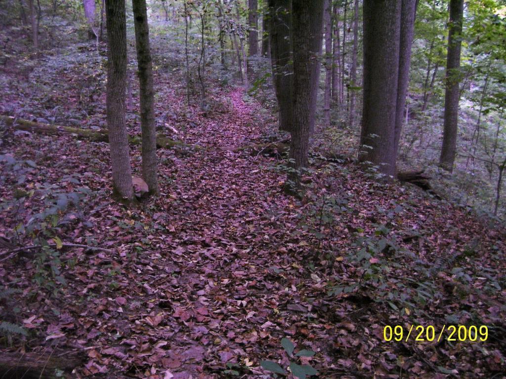 A narrow trail winding through a dense forest, covered with a layer of fallen leaves, surrounded by tall trees and foliage. The image captures a tranquil, natural setting, evoking a sense of serenity and the beauty of nature. The date in the bottom corner indicates September 20, 2009. Ohio View Connector Trail mountain bike trail.
