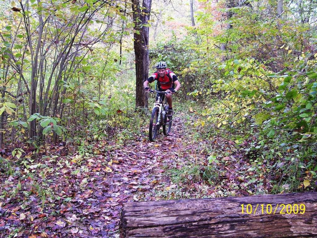 A mountain biker riding along a narrow, leaf-strewn trail in a lush forest during autumn, surrounded by trees with colorful foliage. The scene captures the adventurous spirit of outdoor biking. Ohio View Trail mountain bike trail.