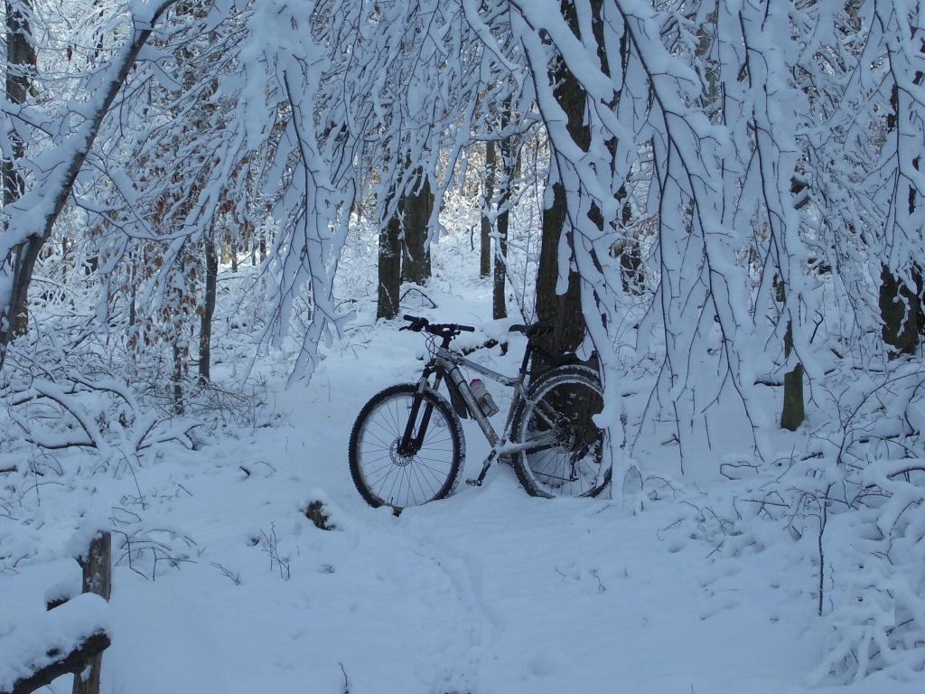 A mountain bike leaning against a tree in a snowy forest landscape, with trees covered in heavy snow. The ground is blanketed in fresh snow, creating a serene winter scene. Mountwood mountain bike trail.