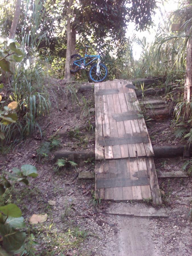 A blue bicycle is leaning against a tree near a wooden ramp leading down a dirt path in a lush outdoor environment. The ramp is made of planks and is surrounded by greenery, including grass and small plants, typical of a natural trail setting. Markham Park mountain bike trail.
