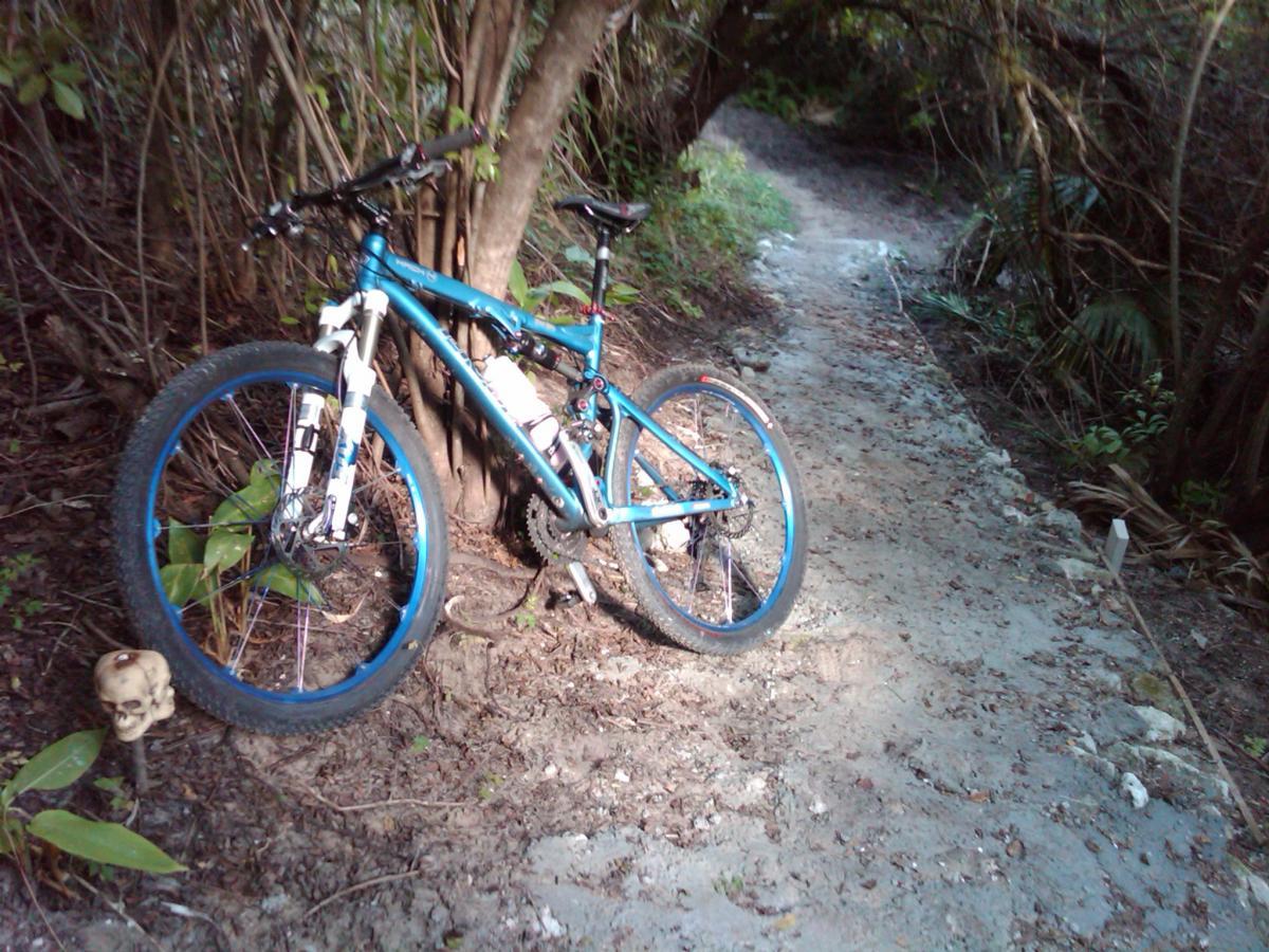 A mountain bike leaning against a tree along a dirt path in a dense, wooded area. In the foreground, a small skull is partially visible near the bike, surrounded by greenery and fallen leaves. The trail is narrow and winding, leading deeper into the foliage. Caloosahatchee Regional Park mountain bike trail.