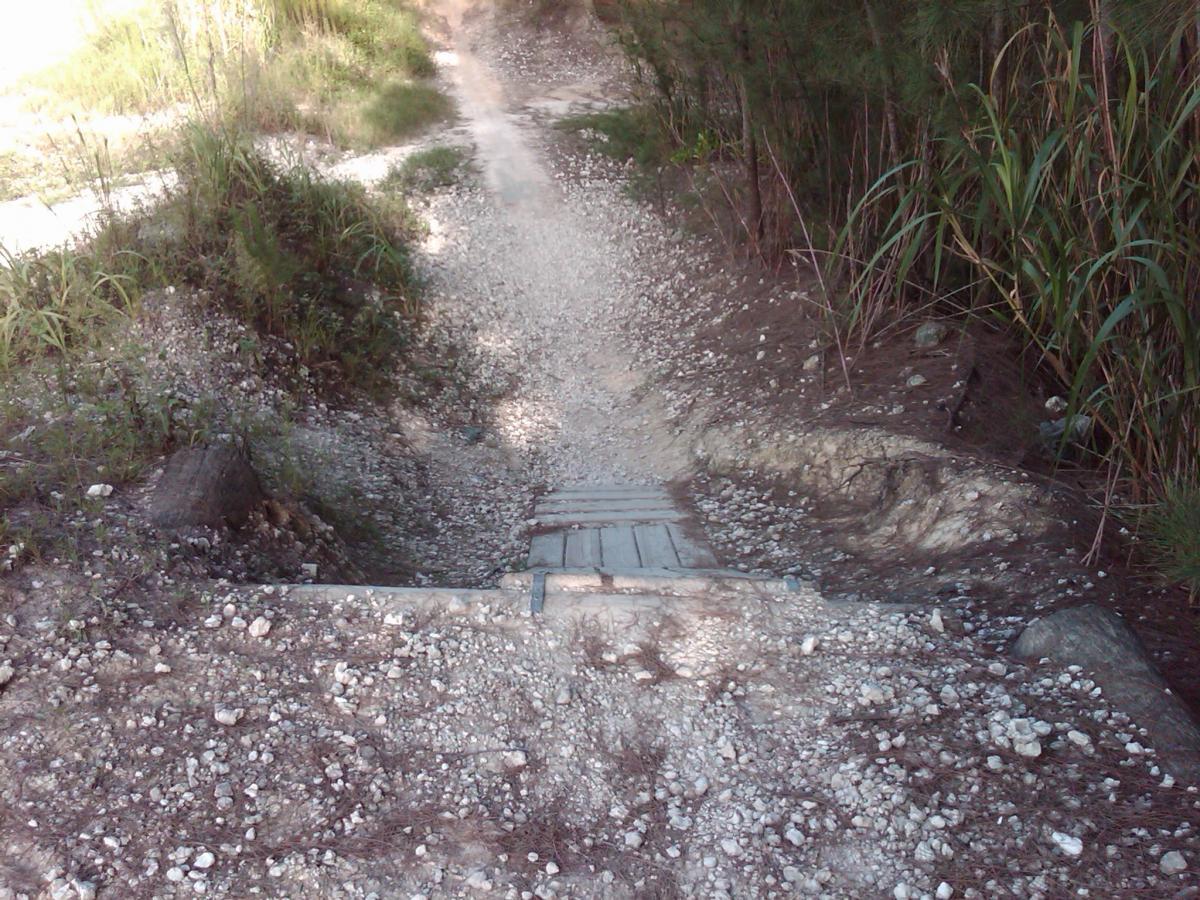A narrow path leading down a slope, with a wooden plank bridge crossing a rocky terrain. Grass and small plants line the sides of the path, and the sunlight casts shadows across the area. Oleta River State Park mountain bike trail.