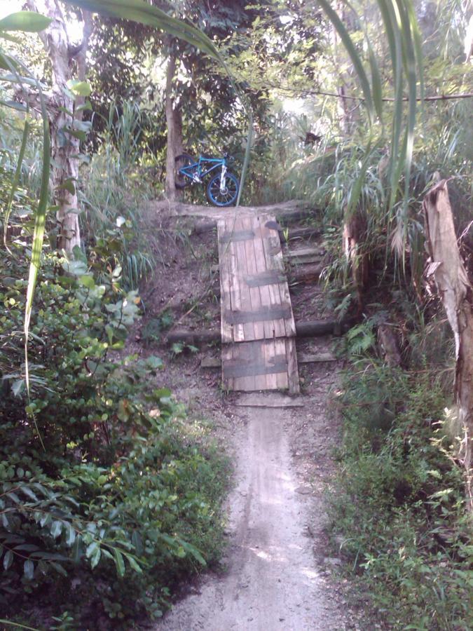 A narrow dirt trail leading through a lush green forest, featuring a wooden ramp positioned at an incline. A blue bicycle is parked beside the trail, partially hidden among the dense foliage. Markham Park mountain bike trail.