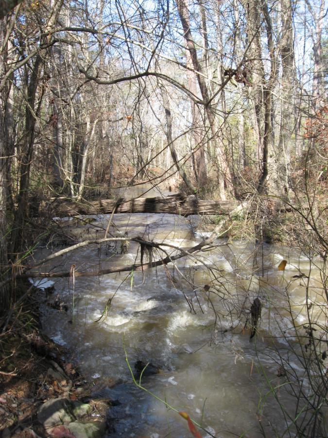 A wooded area with a flowing stream, surrounded by bare trees and underbrush. Sunlight filters through the branches, illuminating the water below, which is slightly murky and turbulent. A fallen log can be seen across the stream, adding to the natural scenery. Harris Shoals mountain bike trail.