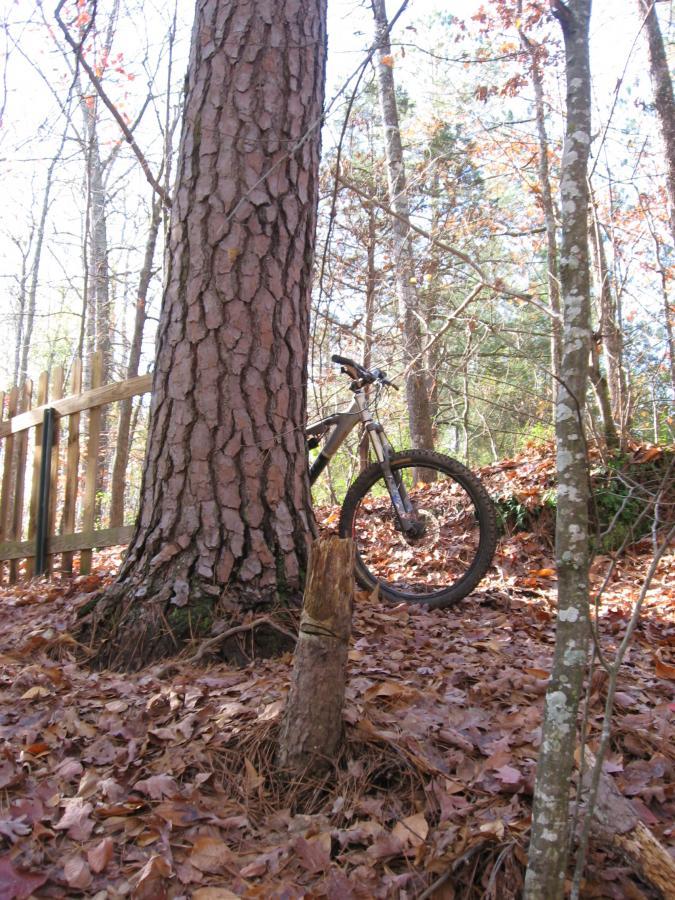 A mountain bike leaning against a large tree in a wooded area, surrounded by fallen leaves and a wooden fence in the background. Sunlight filters through the branches, creating a serene outdoor scene. Harris Shoals mountain bike trail.