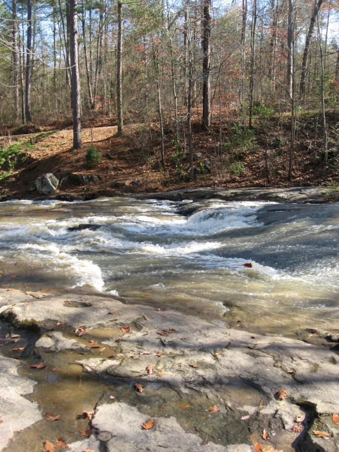 A flowing river with clear water cascading over rocky terrain, bordered by a wooded area featuring tall trees and a carpet of fallen leaves. The scene is set in a natural environment, highlighting the beauty of a tranquil outdoor landscape. Harris Shoals mountain bike trail.