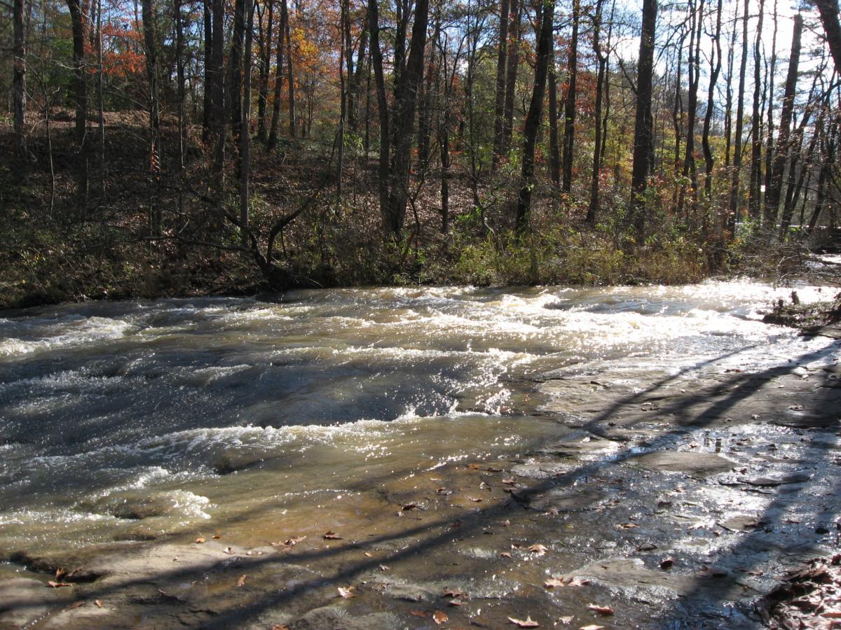 A stream flowing over rocks, surrounded by trees with autumn foliage. The sun shines through the branches, creating dappled light on the water surface. Harris Shoals mountain bike trail.