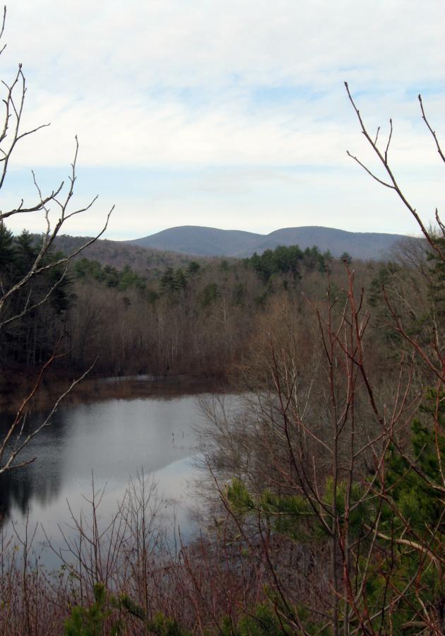 A tranquil landscape featuring a still body of water surrounded by bare trees and lush green pines, with rolling hills in the background under a cloudy sky. Jones Creek Ridge Trail mountain bike trail.