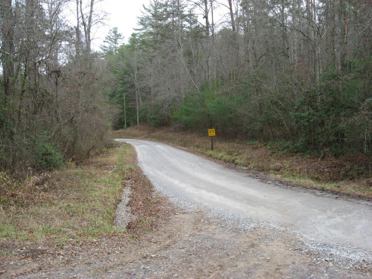 A winding dirt road surrounded by dense trees and underbrush, with a visible speed limit sign indicating 20 mph. The scene is set in a wooded area, showcasing a serene, natural environment with bare branches and greenery peeking through. The sky is overcast, adding to the tranquil atmosphere. Jake to Bull Mountain Connecter mountain bike trail.