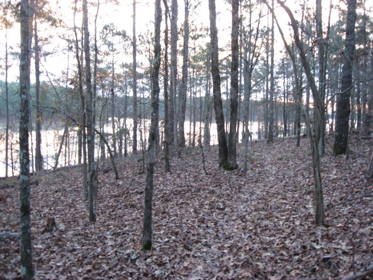 A peaceful forest scene featuring tall trees with bare branches and scattered leaves on the ground, alongside a calm body of water reflecting the soft light of dawn. Hickory Knob State Park mountain bike trail.