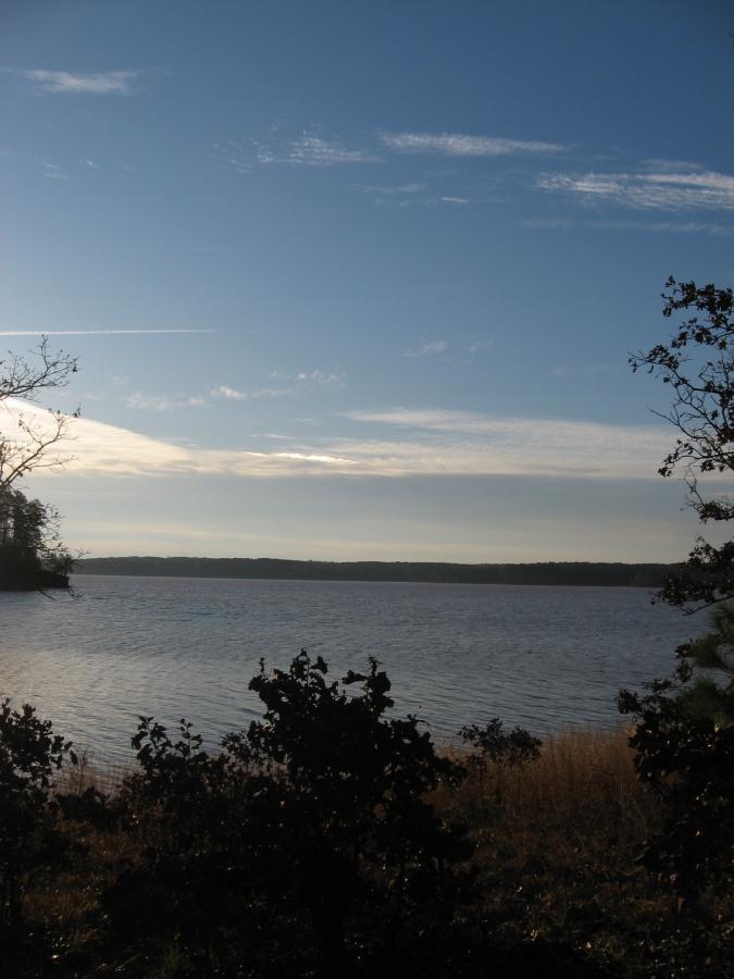 A tranquil view of a lake under a clear blue sky with wispy clouds, framed by silhouetted shrubs and grasses in the foreground. The distant shoreline is visible along the horizon, creating a serene natural landscape. Hickory Knob State Park mountain bike trail.