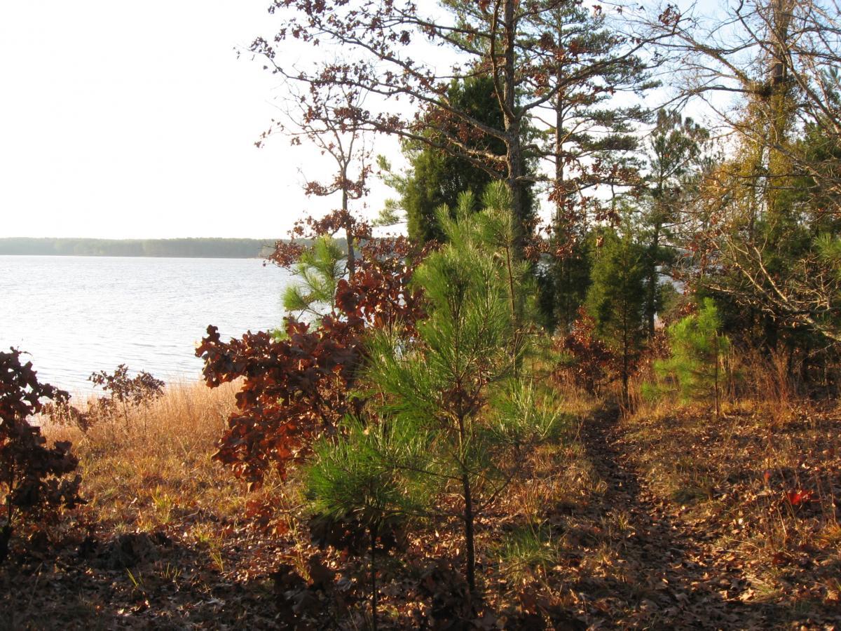 A serene riverside scene featuring a winding dirt path bordered by lush greenery and trees, with a backdrop of calm water and distant wooded hills under a bright sky. Hickory Knob State Park mountain bike trail.