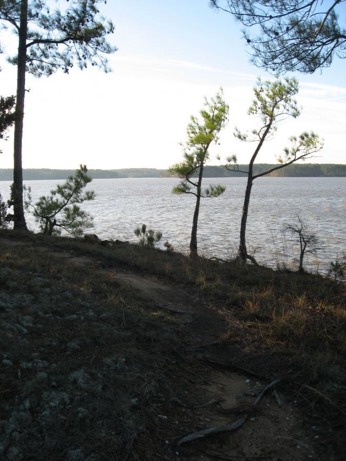 A serene landscape featuring a winding path along a lake surrounded by tall trees. The water reflects the sky, and gentle slopes of grass and soil lead to the shoreline. The scene is peaceful, conveying a sense of natural beauty and tranquility. Hickory Knob State Park mountain bike trail.
