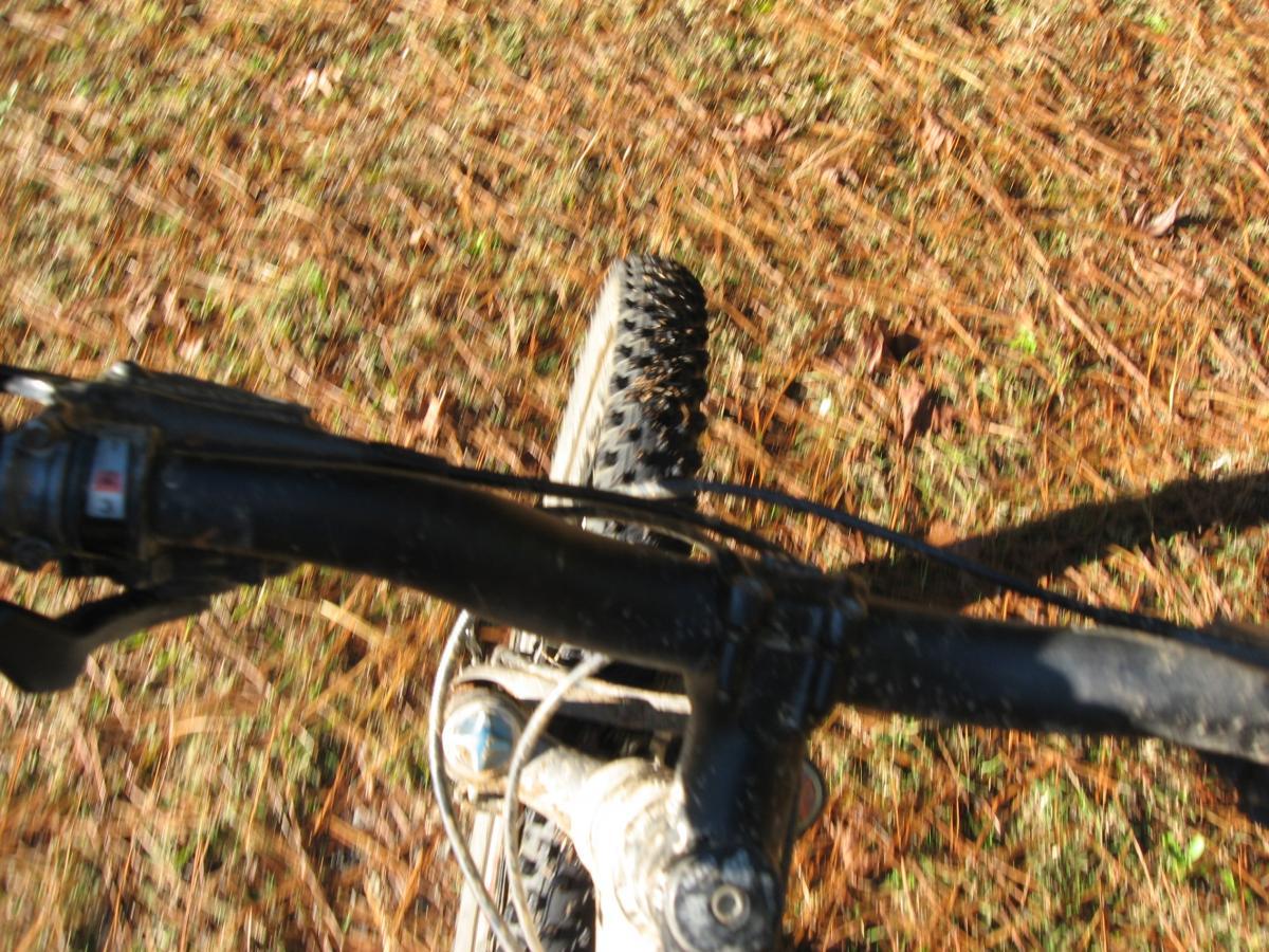 A close-up view of a mountain bike from the rider's perspective, showing the handlebars, front wheel, and the ground covered with pine needles and grass. The image captures a sense of motion and outdoor adventure. Hickory Knob State Park mountain bike trail.