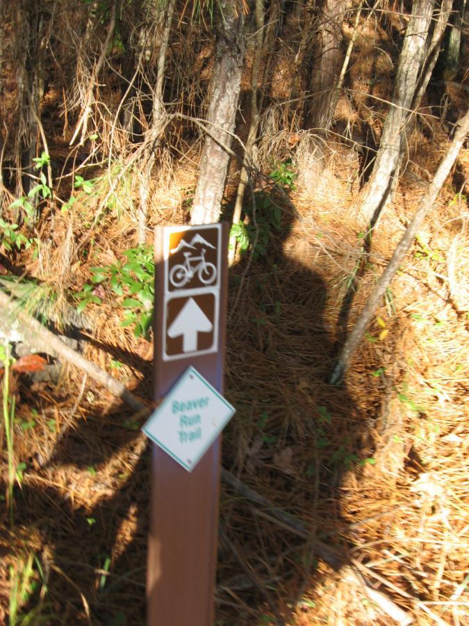 A trail sign indicating the Beaver Run Trail, featuring a bicycle symbol and an upward arrow, surrounded by trees and fallen pine needles in a wooded area. Hickory Knob State Park mountain bike trail.