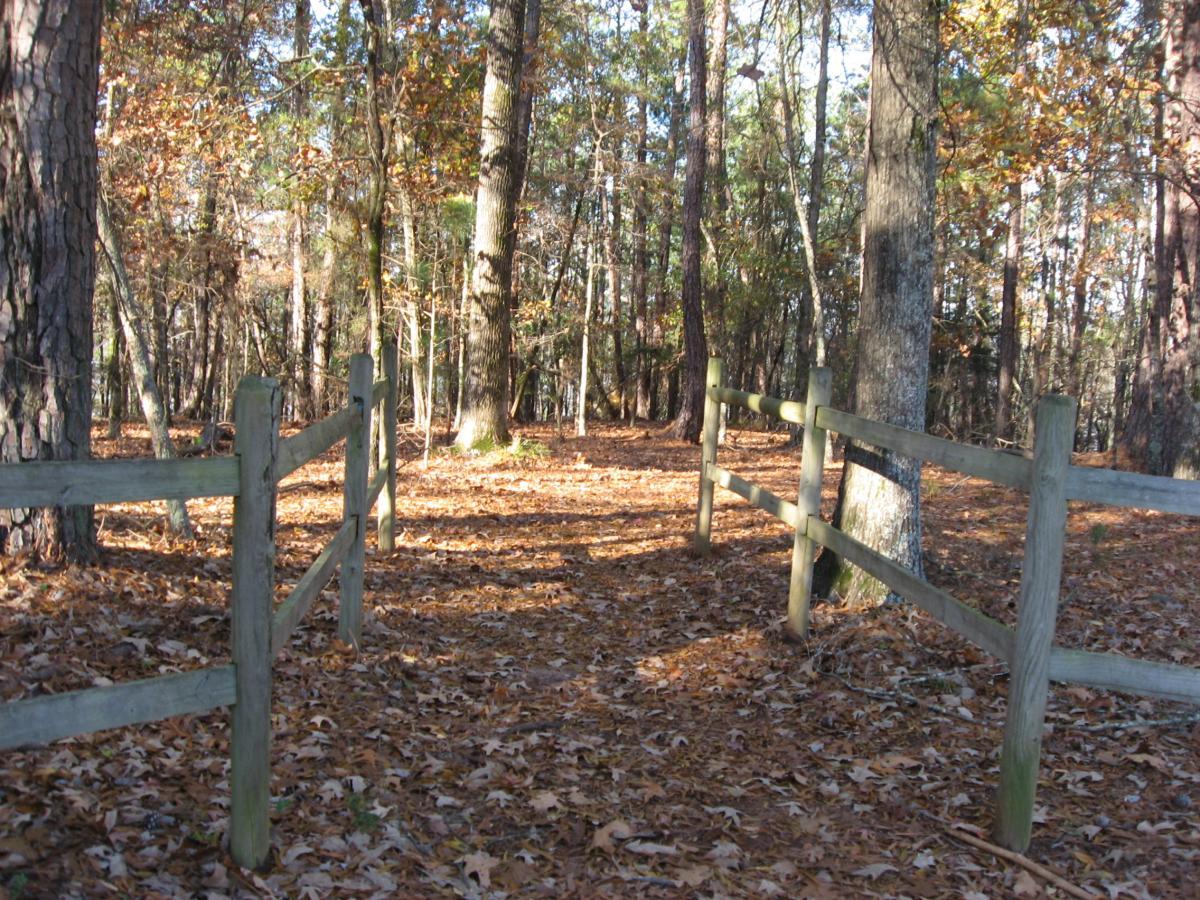 A wooded path bordered by a rustic wooden fence, with the ground covered in orange and brown fallen leaves, surrounded by tall trees in various shades of green and brown, signifying autumn. Hickory Knob State Park mountain bike trail.