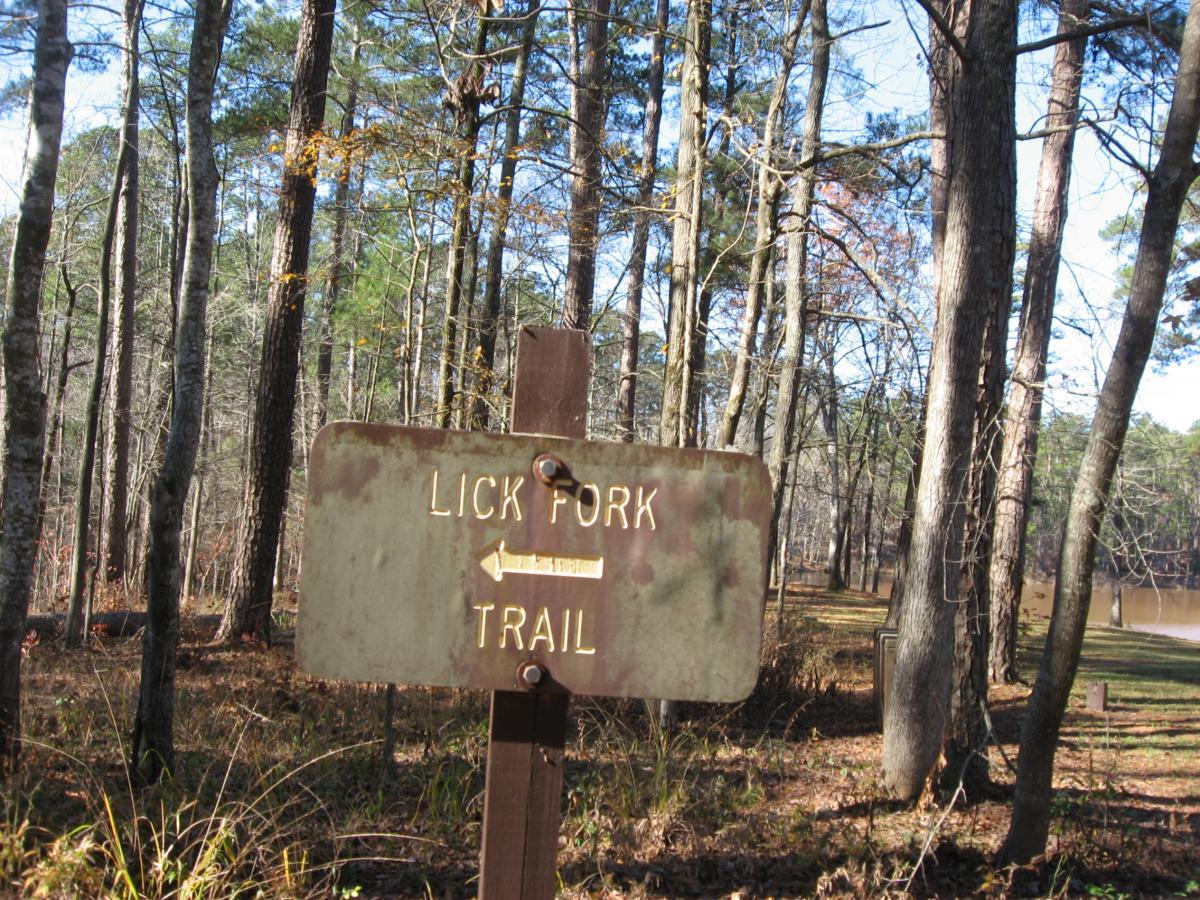A weathered trail sign indicating "Lick Fork Trail" with an arrow pointing left, situated in a forested area with tall trees and a view of a body of water in the background. Lick Fork (Horn Creek) mountain bike trail.