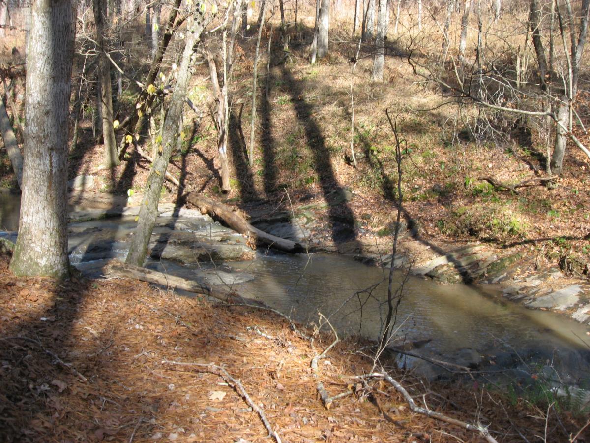 A tranquil creek flows through a wooded area, surrounded by trees with bare branches and fallen leaves. The sunlight creates shadows on the ground, highlighting the rocks and fallen logs along the water's edge. Lick Fork (Horn Creek) mountain bike trail.
