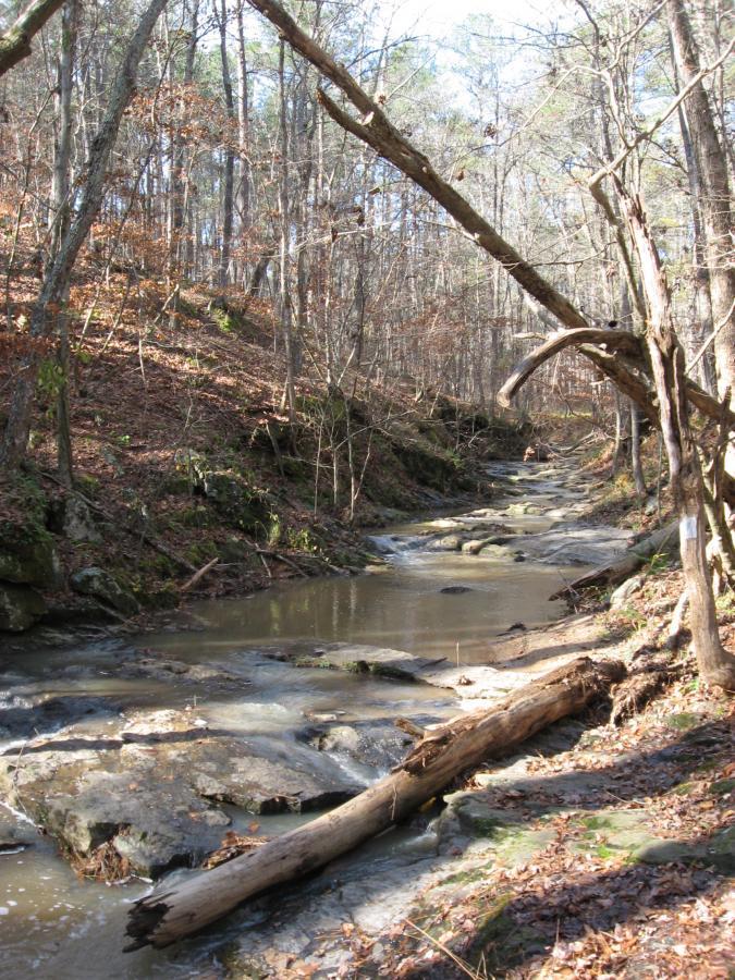 A tranquil forest scene featuring a winding creek surrounded by rocky terrain and leafless trees, with a fallen log resting across the water. Sunlight filters through the canopy, illuminating the natural landscape in a peaceful setting. Lick Fork (Horn Creek) mountain bike trail.
