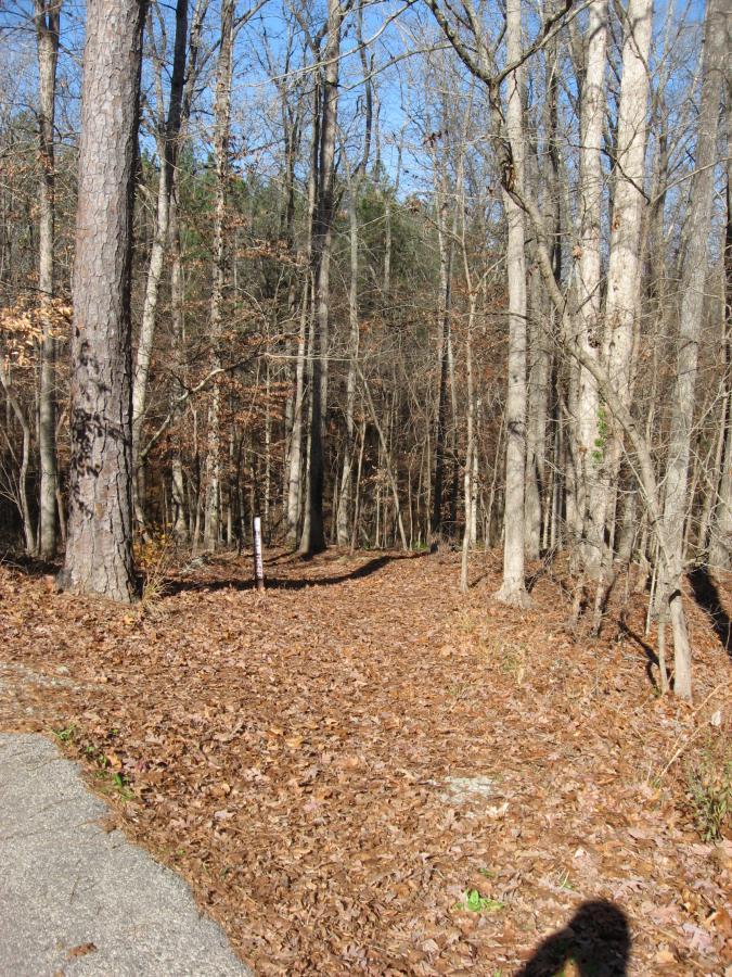 A dirt path covered in fallen leaves winds through a serene forest, flanked by tall, bare trees under a clear blue sky. A trail marker is visible along the path, suggesting a hiking route through the natural landscape. Modoc (Stevens Creek Trail) mountain bike trail.