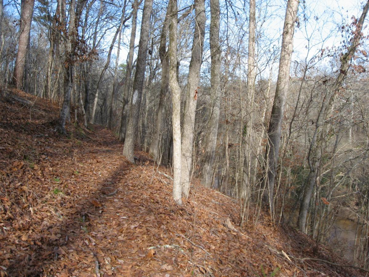 A winding dirt path covered with fallen leaves running through a wooded area with bare trees and a glimpse of water in the background, under a clear blue sky. Modoc (Stevens Creek Trail) mountain bike trail.