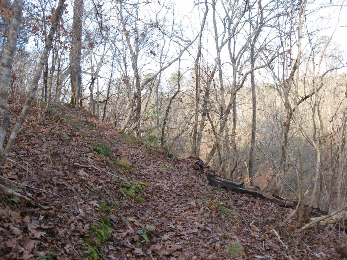 A wooded trail in early winter, surrounded by trees with bare branches and scattered fallen leaves on the ground. The path winds gently along a slope, with hints of greenery peeking through the leaf litter. Soft light filters through the trees, creating a serene forest atmosphere. Modoc (Stevens Creek Trail) mountain bike trail.
