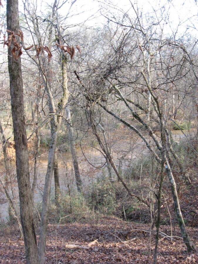 A wooded area with bare trees and branches, showing a river in the background. The ground is covered with dried leaves, and the scene indicates a calm, natural setting during winter. Modoc (Stevens Creek Trail) mountain bike trail.