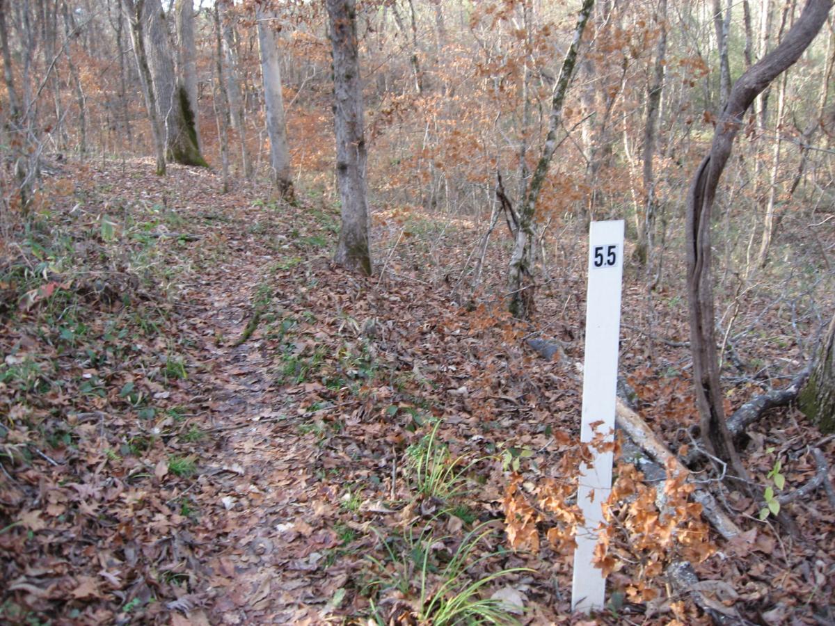 A forest path winding through trees in autumn, with fallen leaves covering the ground. A white marker labeled "55" stands alongside the trail, indicating a measurement or checkpoint. Modoc (Stevens Creek Trail) mountain bike trail.