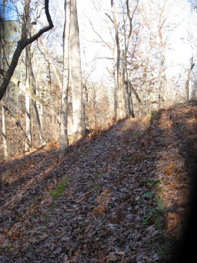  Modoc (Stevens Creek Trail) mountain bike trail.