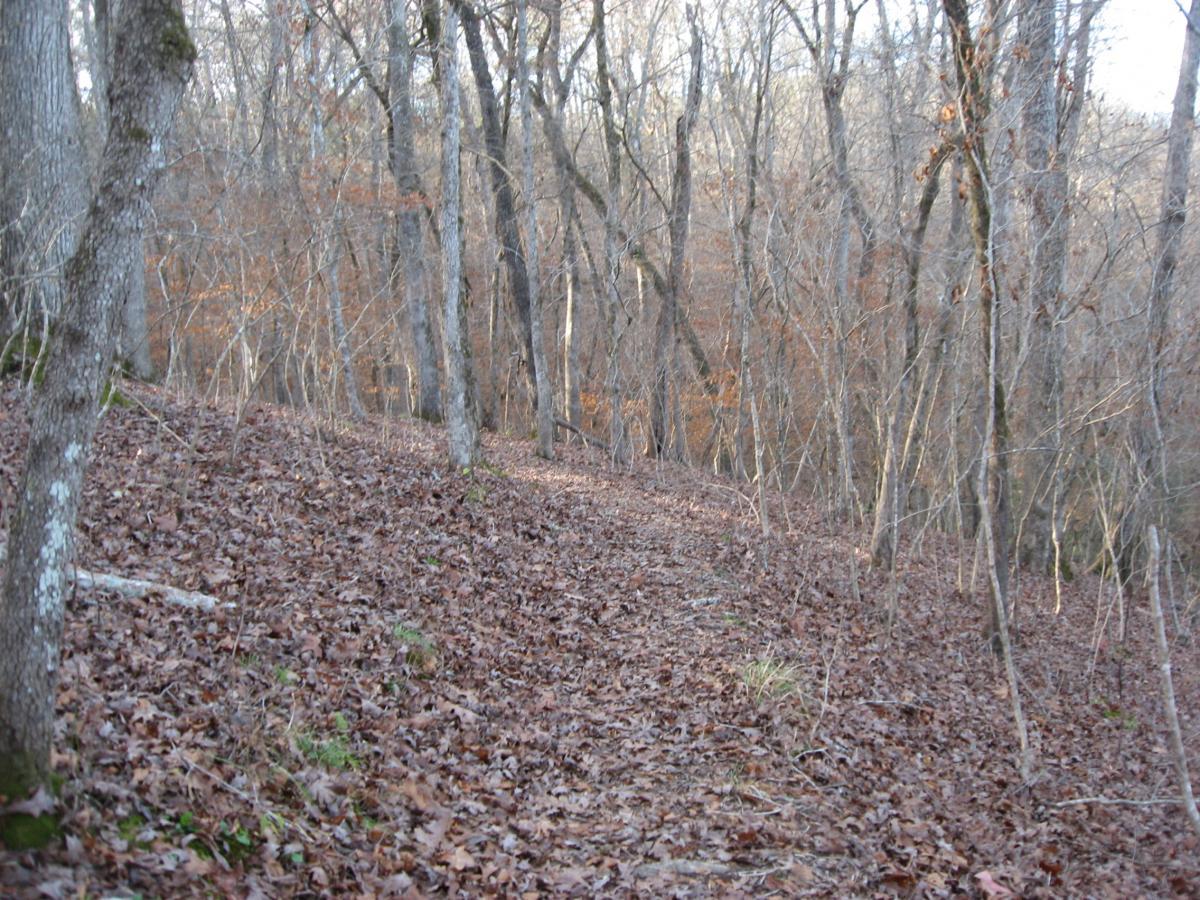 A wooded path covered in fallen leaves, surrounded by trees with sparse foliage, indicating early spring or late autumn. The landscape features a gentle incline, with the earth partially visible beneath the layer of leaves. Modoc (Stevens Creek Trail) mountain bike trail.