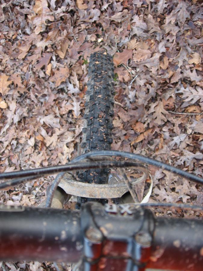 A mountain bike tire viewed from above, resting on a ground covered in a layer of dry, brown autumn leaves. The bike's handlebars and brake lines are partially visible in the foreground, indicating an outdoor biking scene. Modoc (Stevens Creek Trail) mountain bike trail.