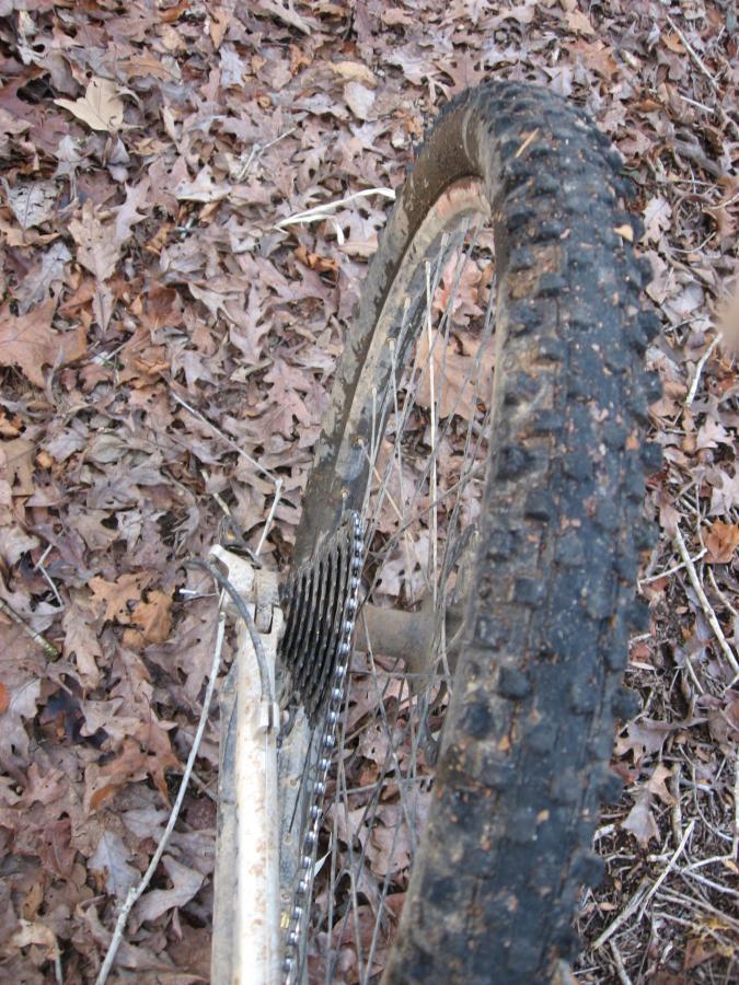 A close-up view of a mountain bike's rear wheel, partially covered in dirt and mud, resting on a bed of dried leaves. The bike's chain and gears are visible, indicating recent use in a natural environment. Modoc (Stevens Creek Trail) mountain bike trail.