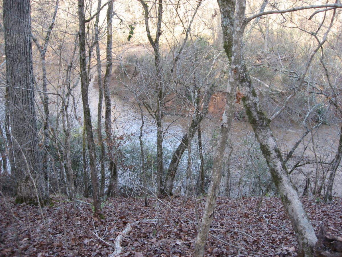 A view of a river winding through a wooded area, with bare trees and fallen leaves in the foreground. The water appears calm and reflects the surrounding landscape. The scene captures a quiet, natural setting. Modoc (Stevens Creek Trail) mountain bike trail.