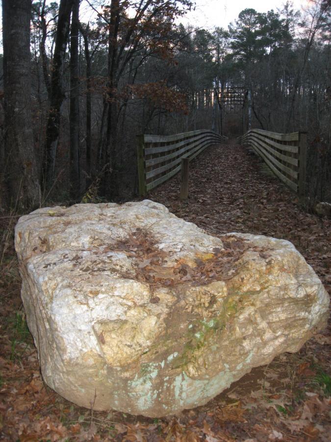 A large, weathered white rock covered with leaves sits on a dirt path leading to a wooden bridge surrounded by trees. The bridge is visible in the distance, with wooden railings lining either side, and the scene is set in a wooded area during dusk. Turkey Creek mountain bike trail.