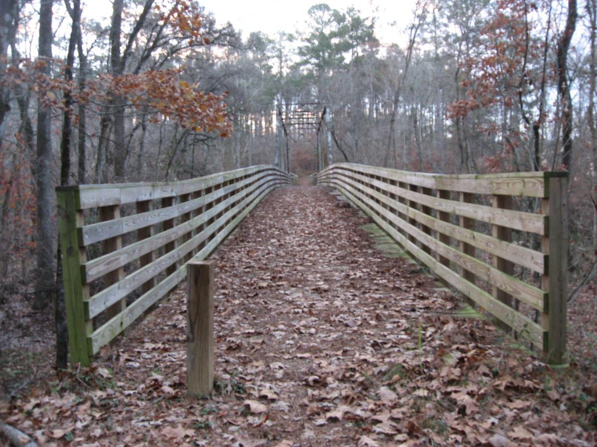 A wooden bridge surrounded by trees in a forest setting, with a path covered in fallen leaves leading across the bridge. The scene captures a peaceful, natural environment during the late afternoon or early evening. Turkey Creek mountain bike trail.