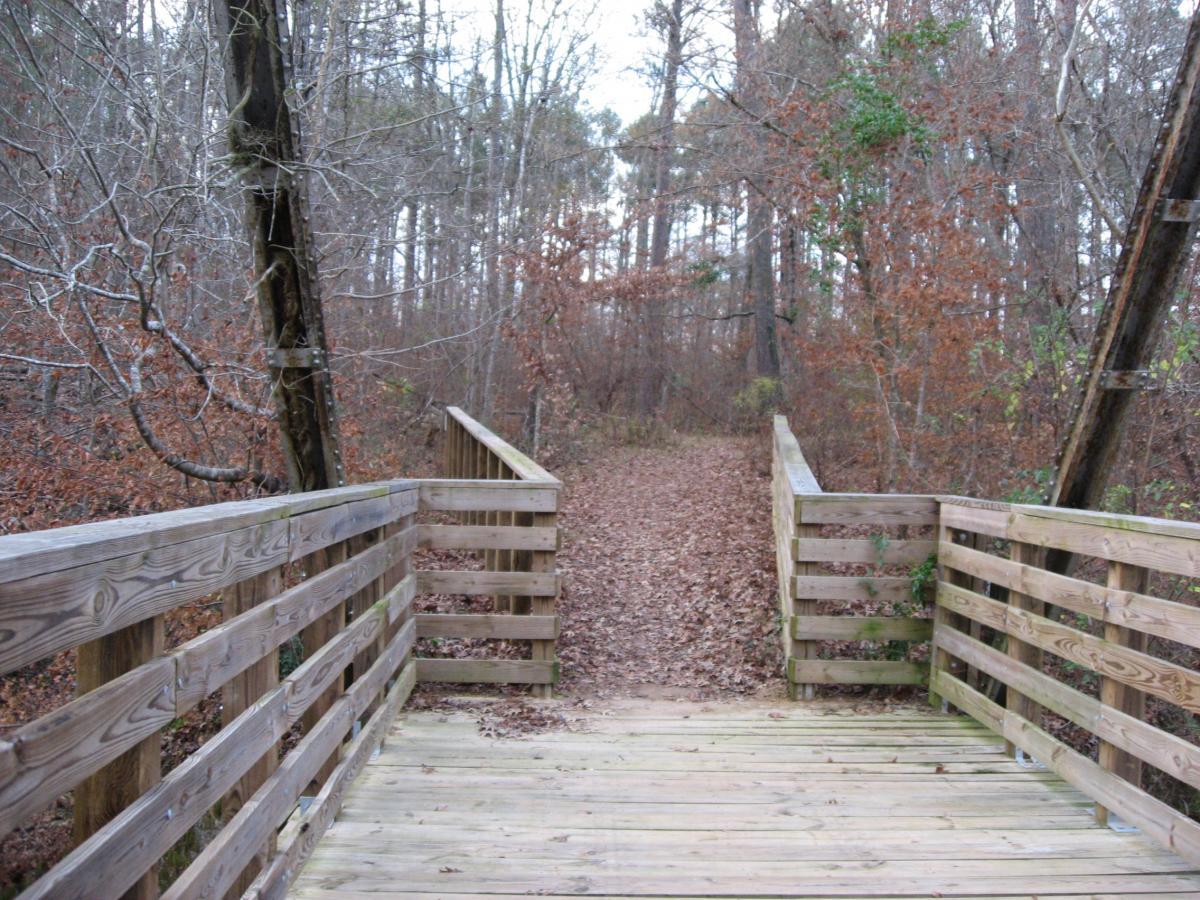 A wooden bridge surrounded by a forest path, with trees on either side and fallen leaves covering the ground. The scene captures a peaceful, natural setting in late autumn or early winter. Turkey Creek mountain bike trail.
