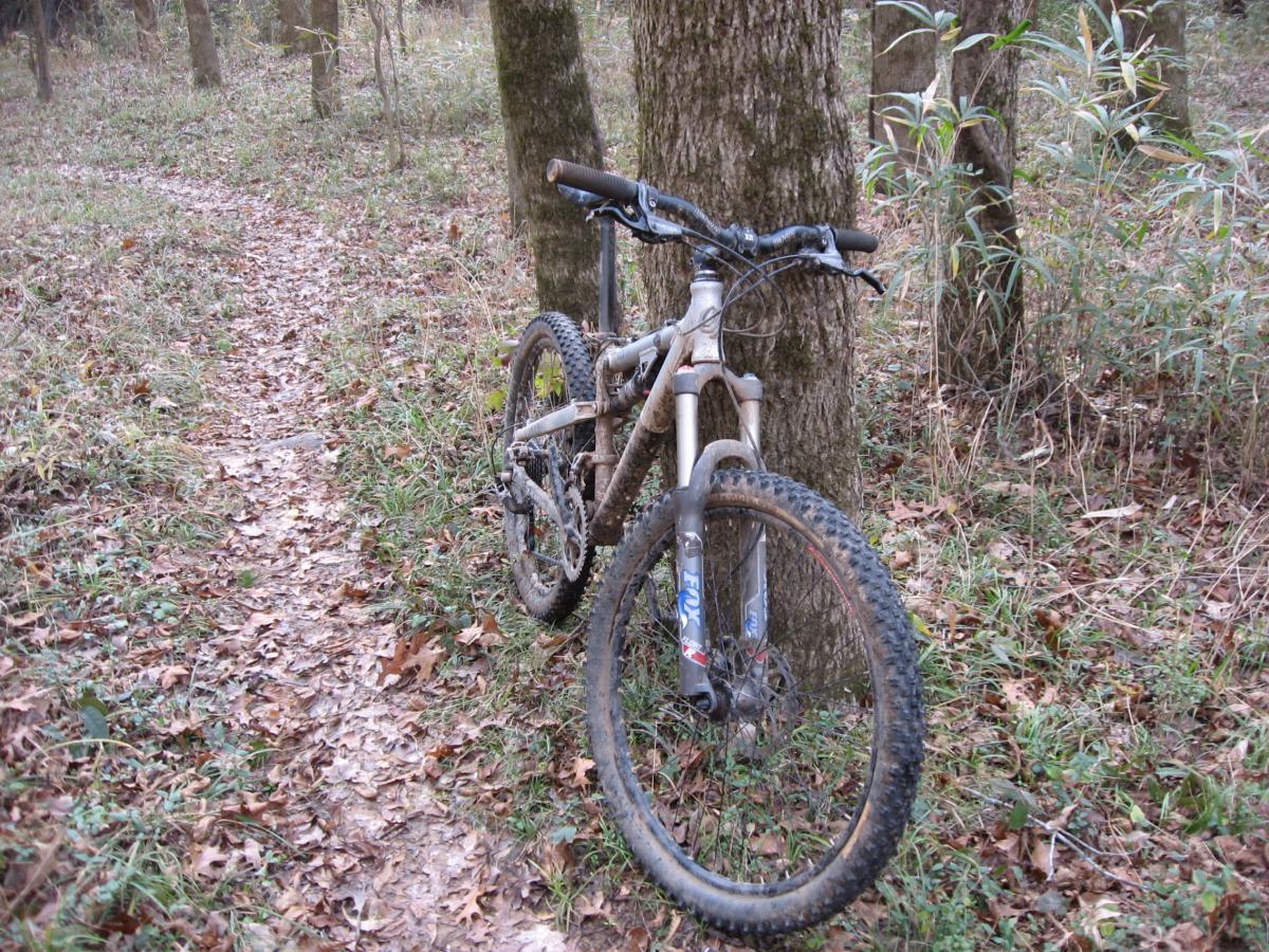 A mountain bike resting against a tree on a dirt path surrounded by autumn leaves and greenery in a forest setting. Turkey Creek mountain bike trail.